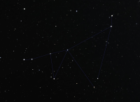 Capricornus