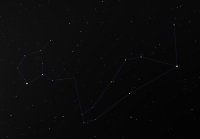 Cetus
