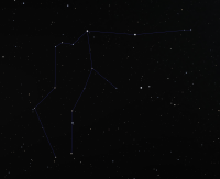 Aquarius