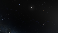 Hydra