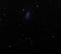 Hydrus