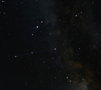 Aquila