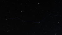 Lynx
