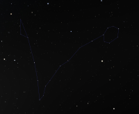 Pisces